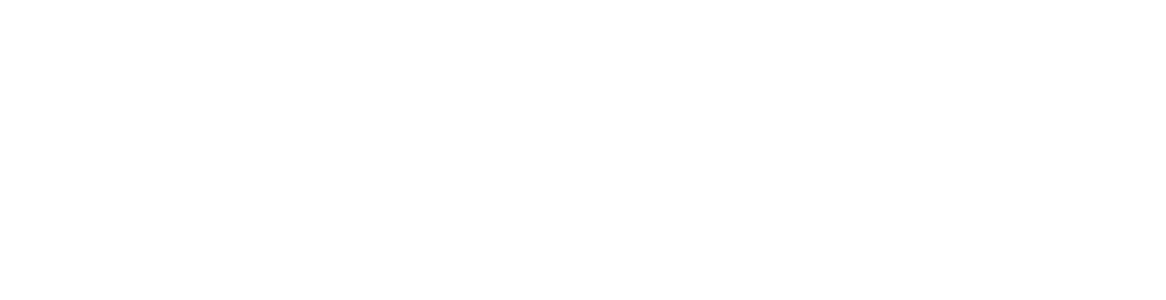 Sleekdata